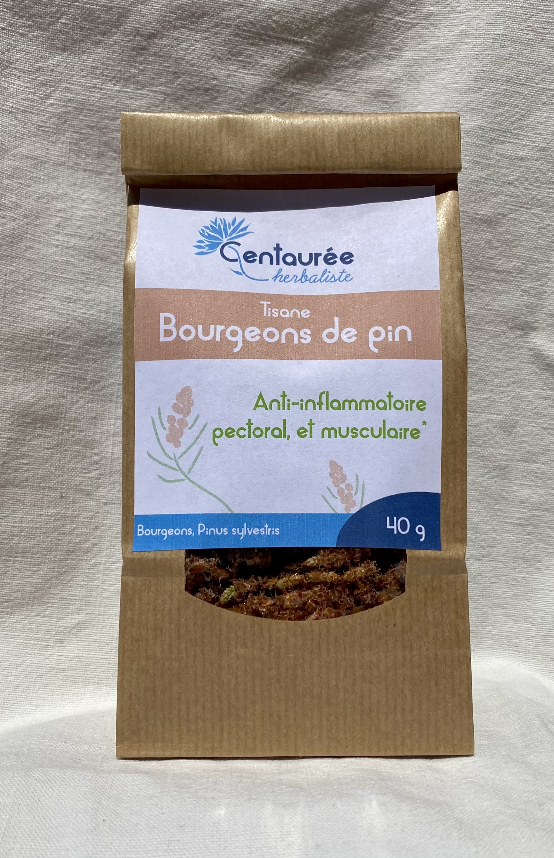 Bourgeons de pin